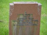 image of grave number 919863